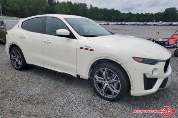GTS Auto Punkt
