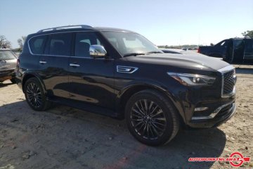Sensory Auto Punkt