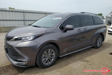 XLE / Hybrid / Auto Punkt