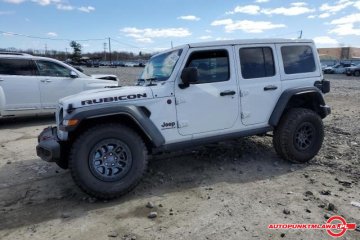 Rubicon Auto Punkt