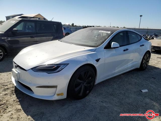 tesla
