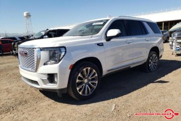 Denali Auto Punkt