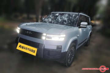 Max Edition Auto Punk