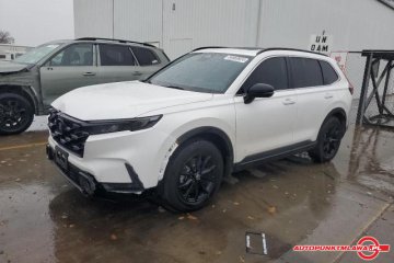 Sport-L Auto Punkt