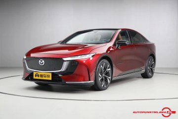 EZ-6 / 600 Zhizun Edition Auto Punkt