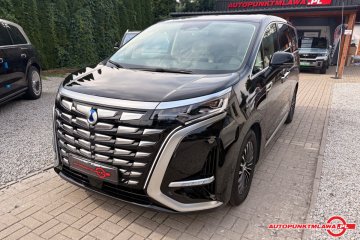 Flagship l Auto Punkt