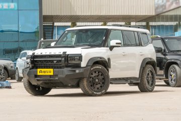 2025 2.0TD 4WD COMMEMORATIVE EDITION Auto Punkt