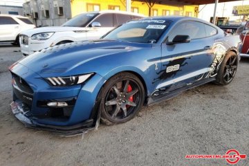 Shelby  GT500 Auto Punkt