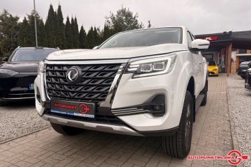 Ruiqi 7 l Auto Punkt