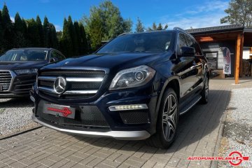 63 AMG Auto Punkt