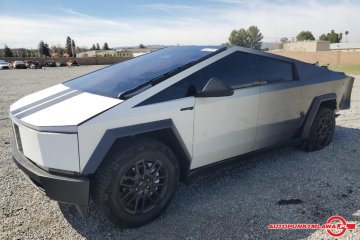 CyberBeast Auto Punkt