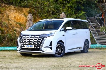 DM 2025 Intelligent Driving Edition 1020 4WD Flagship  Auto Punkt