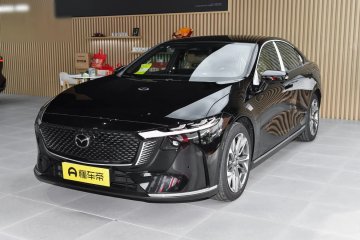 EZ-6 / 200 Zhizun Edition Auto Punkt
