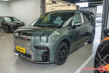 ZEEKR 009 2024 Seven-Seat Aisle Auto Punkt