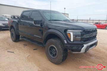 Raptor Auto Punkt