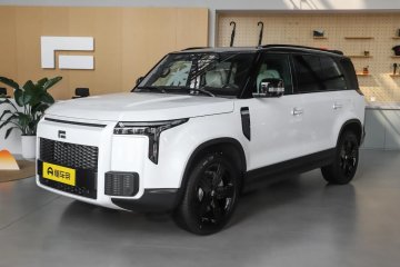 2025 Exclusive 6-seat Long-Range Auto Punkt