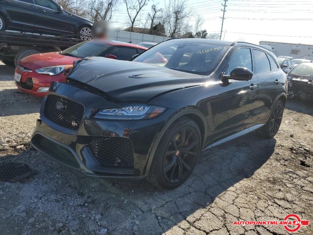 jaguar