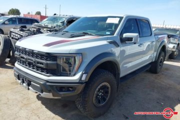 Raptor Auto Punkt