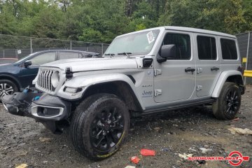 4XE Sahara Auto Punkt