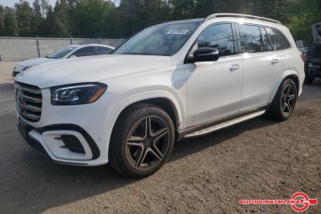 GLS 450 4 Matic Auto Punkt