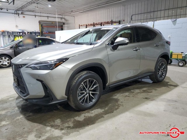 lexus