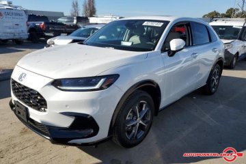 EXL Auto Punkt