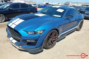 Shelby GT500 Auto Punkt