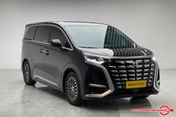 DM 2025 Intelligent Driving Edition 1020 4WD Flagship  Auto Punkt