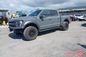 Raptor Auto Punkt