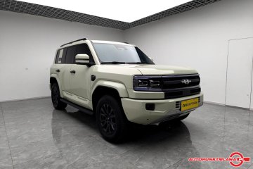Ultra Edition Auto Punk