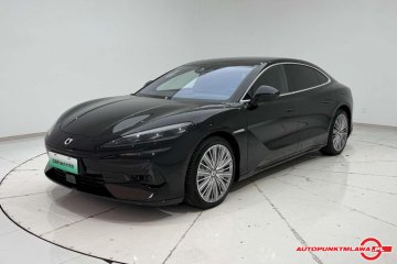 DM 2024 1100 AWD Ultra Edition Auto Punkt