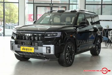 2025 Intelligent and Brave Flagship Edition 6 Seaters Auto Punkt