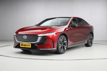 EZ-6 / 600 Zhizun Edition Auto Punkt
