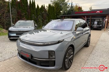 Auto Punkt