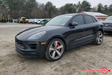 GTS Auto Punkt